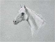 Patricia Spink - Dorset I